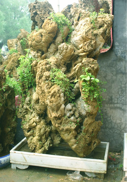 上海吸水石批发