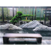 上海泰山石供应 