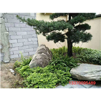上海别墅绿化工程承包 