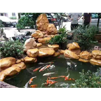 上海黄蜡石出售 