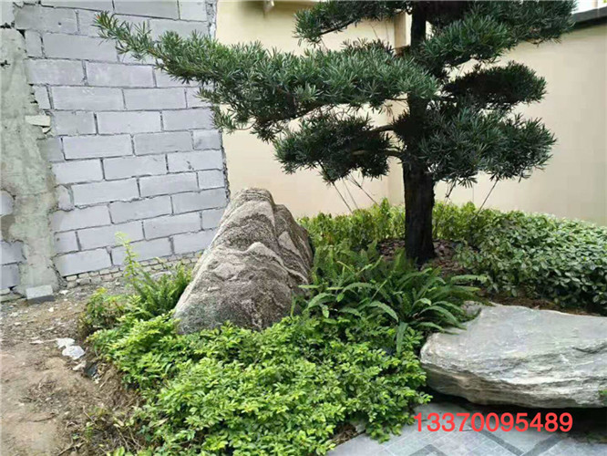 上海别墅绿化工程承包 