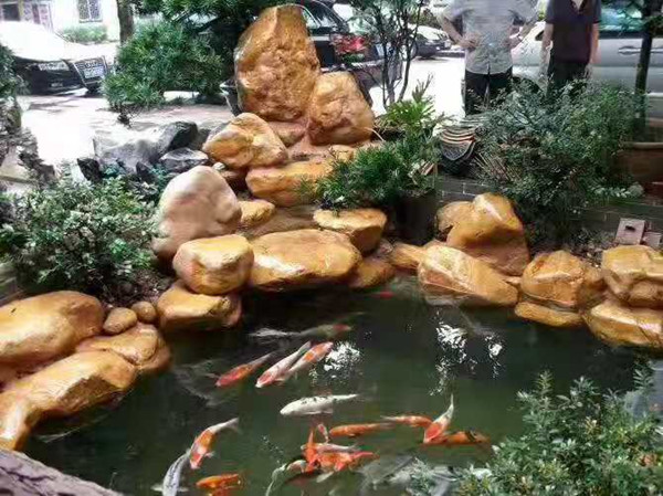 上海黄蜡石出售 
