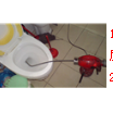 南京零距离便民网 