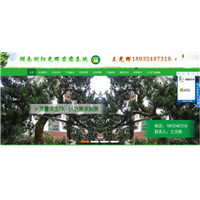 金泉网合作案例~湖南光辉苗木基地 