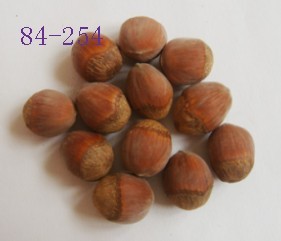 达维84-254