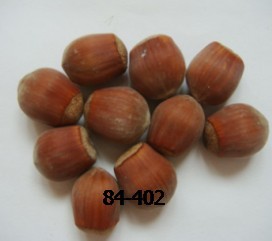 辽宁榛子（想了解更多资讯www.zhenzimiao.jqw.com）