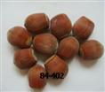 辽宁榛子（想了解更多资讯www.zhenzimiao.jqw.com）