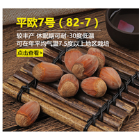 大榛子树的树形及整形过程 