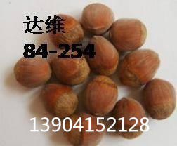 适合山西晋中地区栽的大榛子苗品种 
