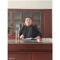 山东临清利源107速生杨蔺总 