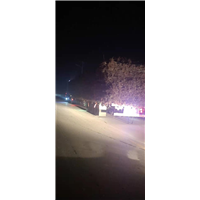 107速生杨装车