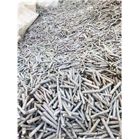 107速生杨种段