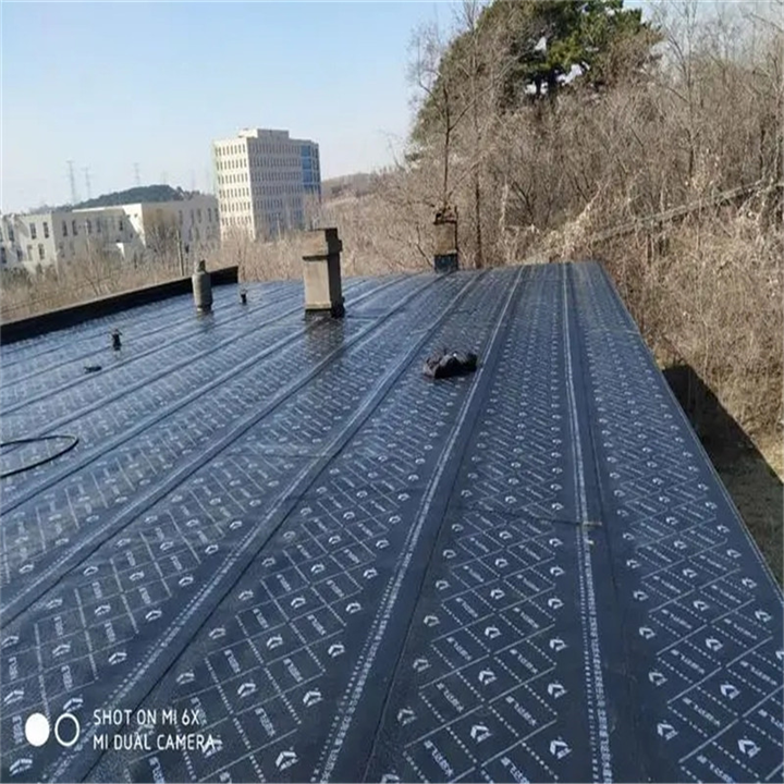 张家口屋顶防水