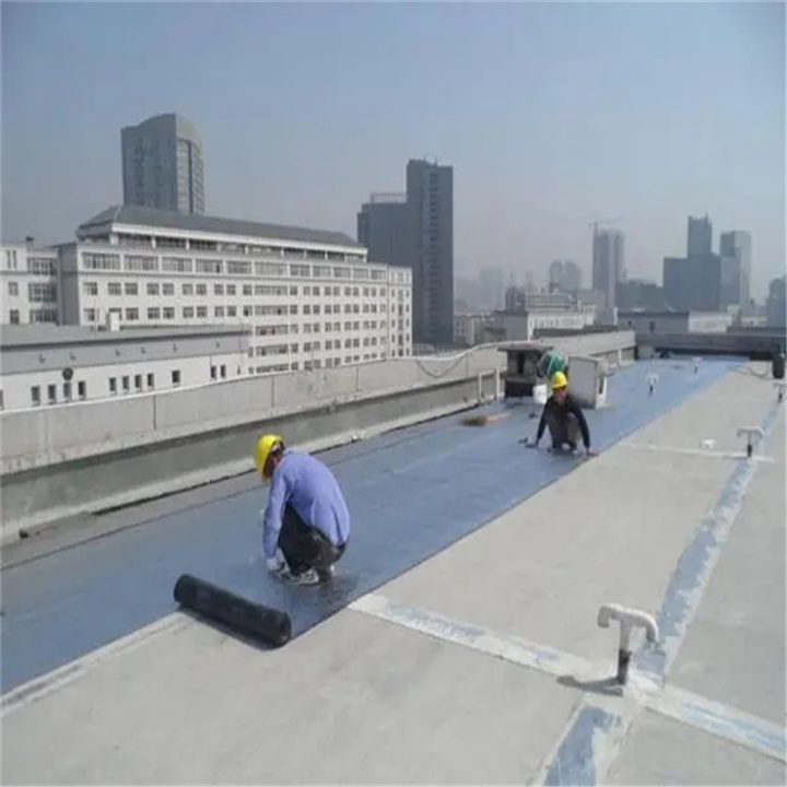 张家口屋面防水施工队