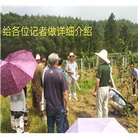 新闻记者、作家采访陆老师现场图片 