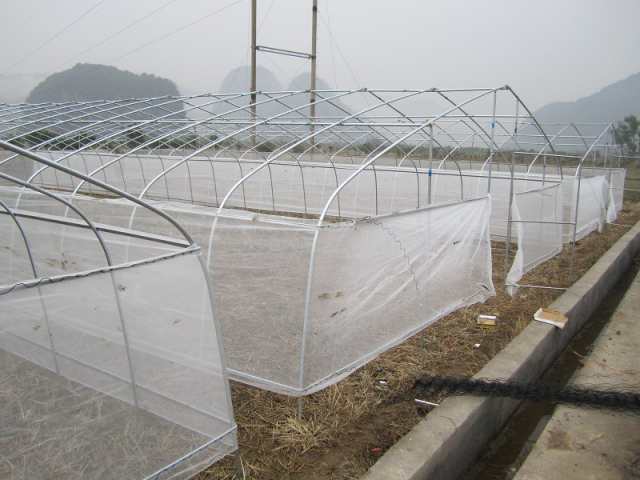 新基地