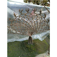 贵阳造型紫薇树【哪里有孔雀开屏造型树】 
