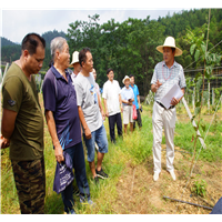 欢迎记者作家朋友采访本基地 