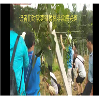 新闻记者、作家采访陆老师现场图片 