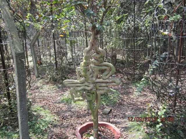 紫薇造型