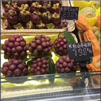 【布福娜】布福娜果，布福娜果苗