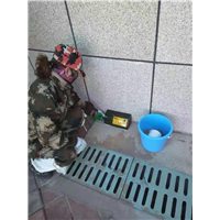 眉山附近灭鼠灭蟑螂杀虫公司联系方式