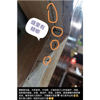 眉山仁寿灭鼠杀虫灭白蚁找哪家
