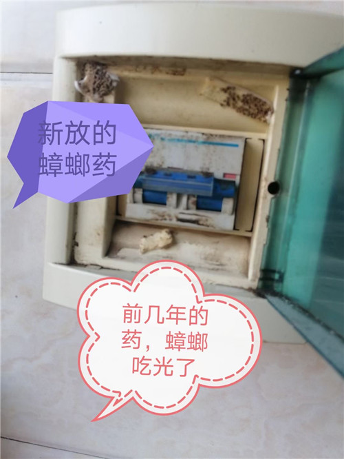 眉山仁寿灭鼠灭四害哪家便宜