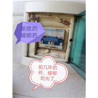 眉山仁寿灭鼠灭四害哪家便宜