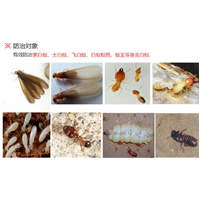 眉山酒店灭鼠灭蟑螂价格