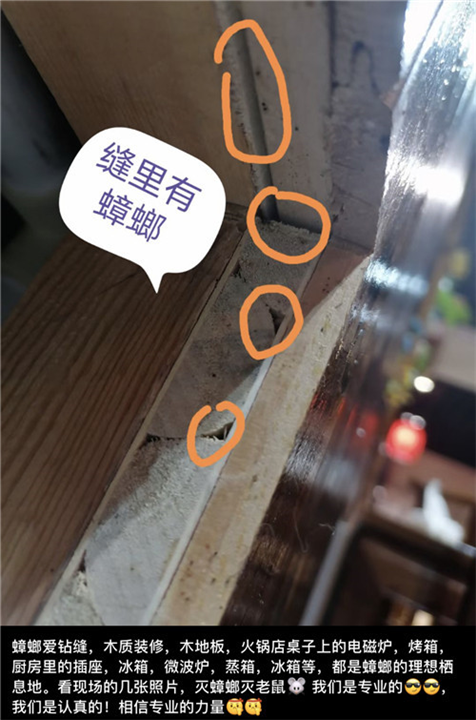 眉山东坡区服装店灭白蚁杀虫灭鼠服务