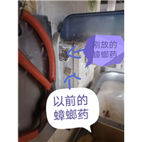 眉山东坡区写字楼消杀灭白蚁联系电话