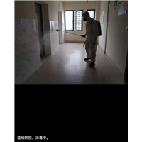 眉山工厂消杀灭鼠灭白蚁灭蚊蝇价格