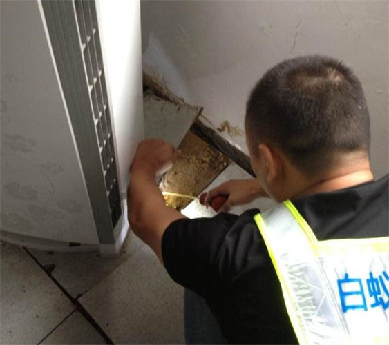 眉山饭店餐馆灭苍蝇怎么收费