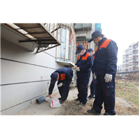 眉山东坡区食堂灭鼠灭蟑螂怎么收费