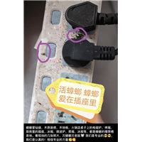 眉山仁寿灭鼠灭四害哪家便宜
