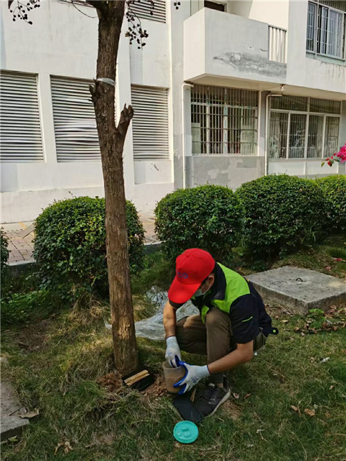 眉山彭山培训机构灭鼠灭蟑螂白蚁防治