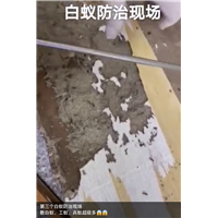 眉山仁寿门框发现白蚁怎么处理