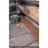 眉山仁寿灭鼠灭蟑螂白蚁防治电话