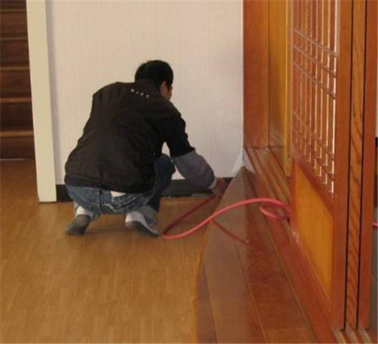 仁寿附近灭鼠灭蟑螂价格多少