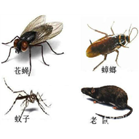 眉山饭店灭蟑螂效果如何