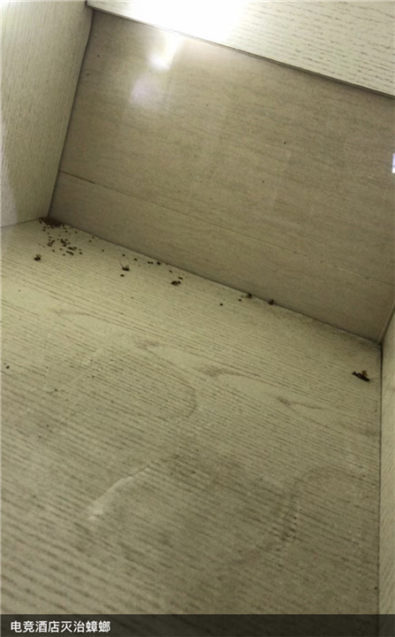 眉山宾馆灭鼠灭白蚁杀虫价格多少