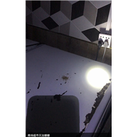 眉山工厂灭蟑螂杀虫杀白蚁价格