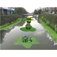 武汉水生植物浮岛