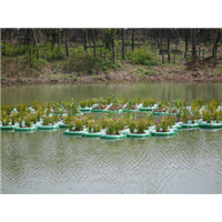 北京种植水上浮床★北京水上种植浮床批发
