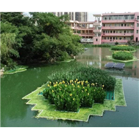 武汉水生植物浮岛