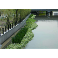 武汉水生植物浮岛