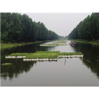 武汉水生植物浮岛
