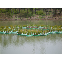 北京种植水上浮床，北京水上种植浮床