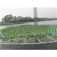 北京水上种植浮床@北京水上种植浮床制作